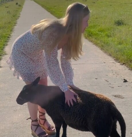 asian bbw onlyfans porno image