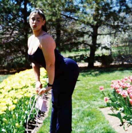 Nikoleashleyy pornstar beautiful image