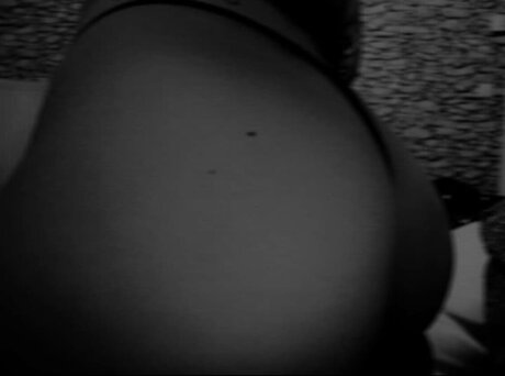 Nathalie Vollmann free model archive