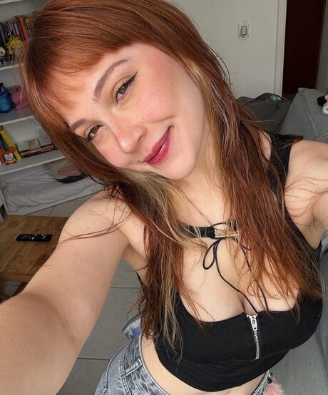 MandsToledo model top picture