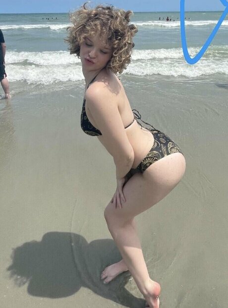 Gina Lynn best pornstar picture