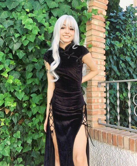 Offcbzs star top gallery