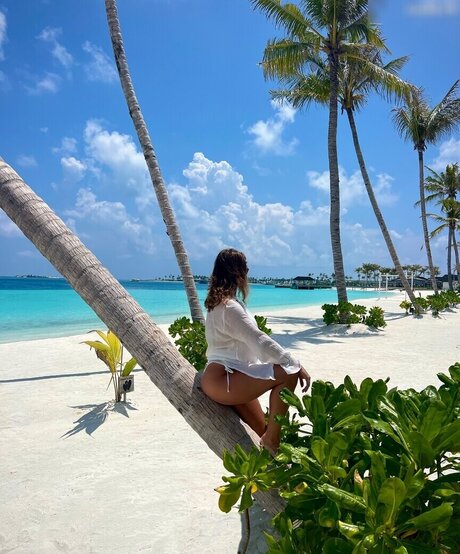 Lexi Si ziehl abegg pornstar nice pic