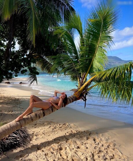 Lexi Si ziehl abegg hot pornstar picture