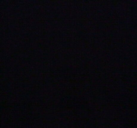 Sydney Harwin best model image