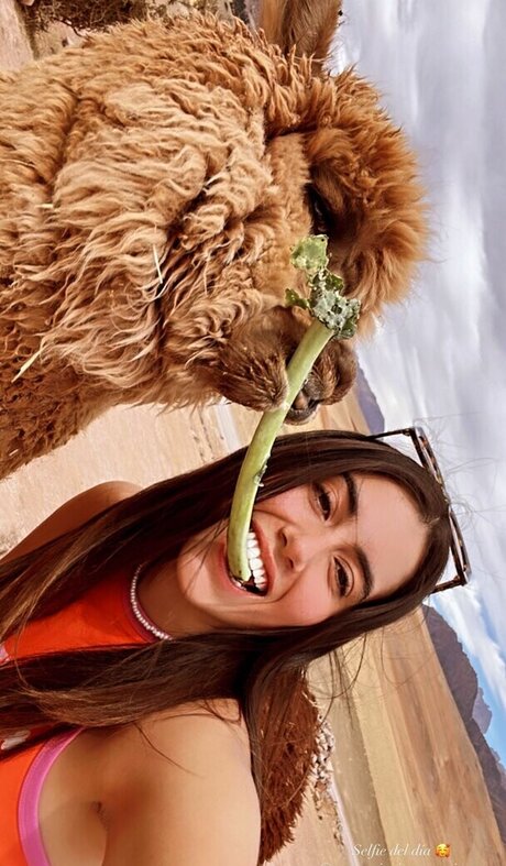 Veronica Boyer star pretty image