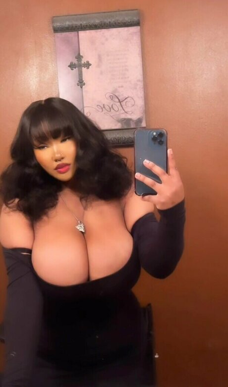 Yokopanx model top gallery