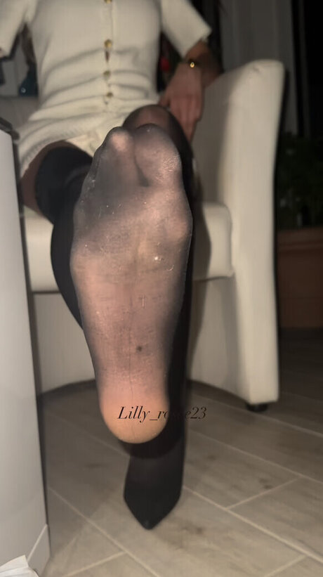 Lilly rosee23 best pornstar pictures