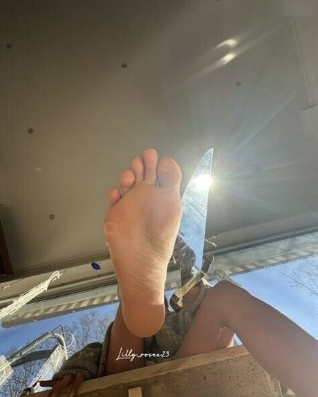 Lilly rosee23 xxx actress pictures