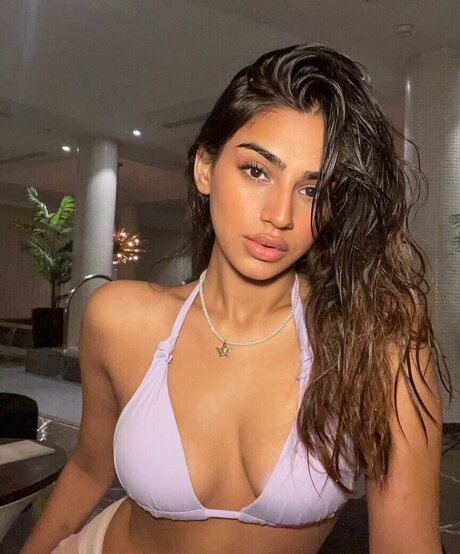 Pakhi Gadh star free gallery