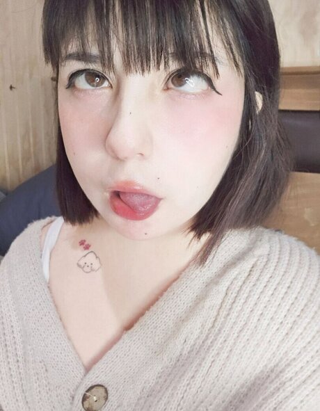 lullaby neko top star pictures