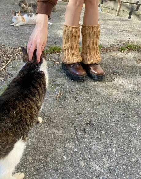 Mermaids Kiss star sexy img