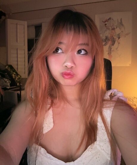 Seireals best star image