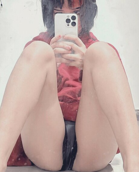 zems3lling model archive