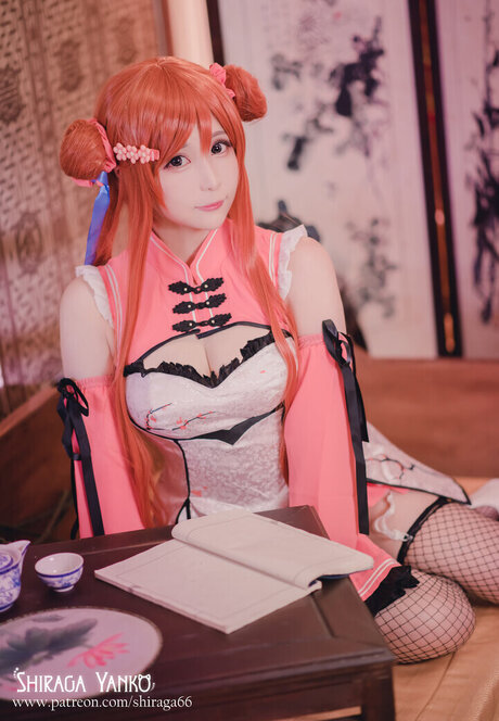 Shiraga Yanko nude pornstar images