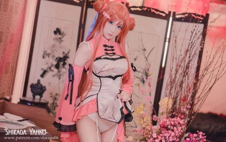 Shiraga Yanko pornographic actress photo