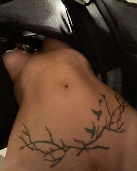 Ava asher free pornstar gallery