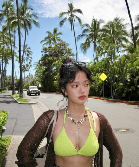 garbo zhu star nude picture