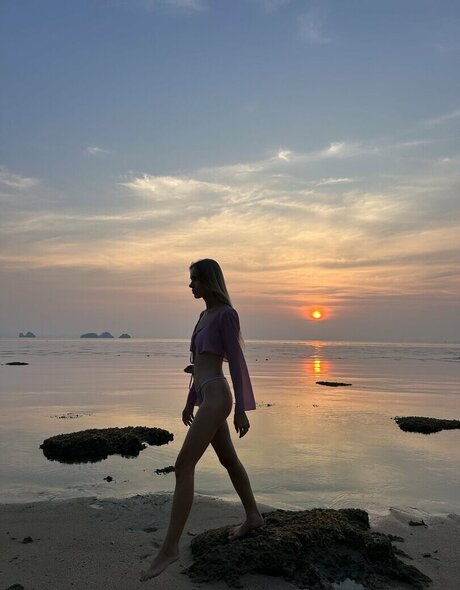 pokeltos nice star archive