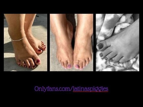 Latina s Piggies pornographic star image