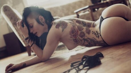 VipersDoll pornographic actress archive