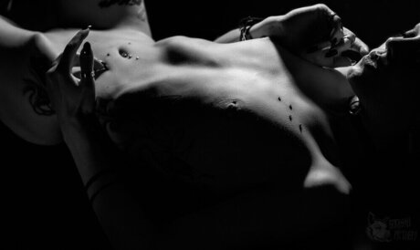 VipersDoll star best galleries