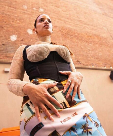 Dascha Polanco naked star images