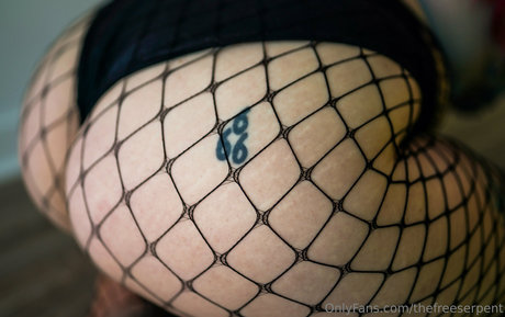 thefreeserpent pornstar free galleries