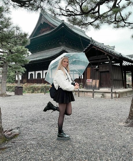 Berticuss model top picture