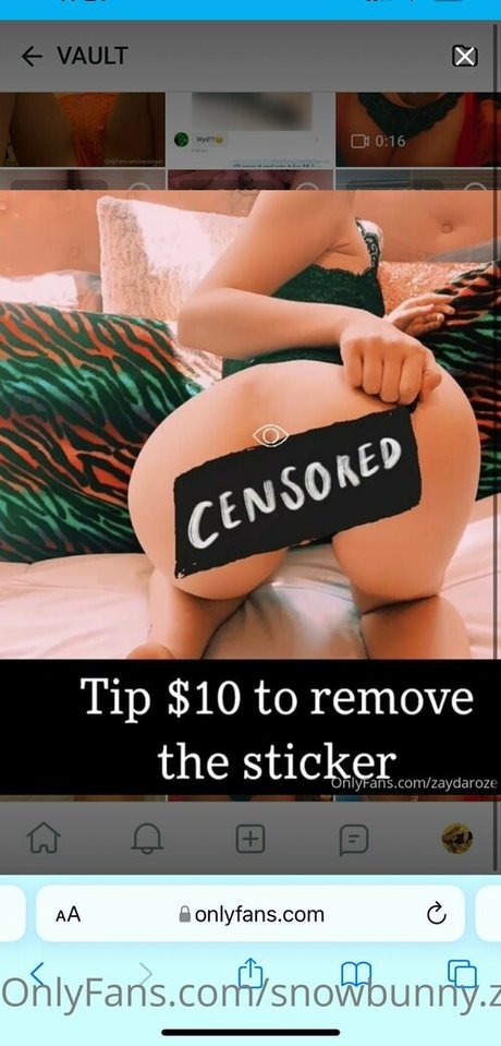 snowbunny z naked pornstar picture