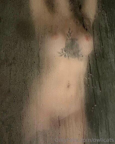 Owlicats star nudes pic