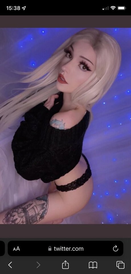 Owlicats nice star photos