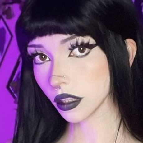 Owlicats star art pics