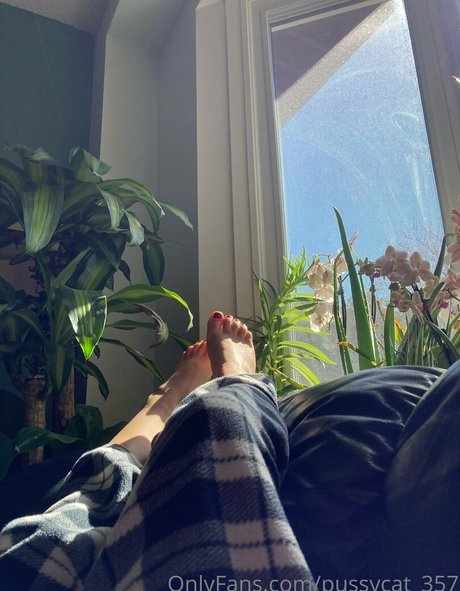 pussycat 357 perfect pornstar archive