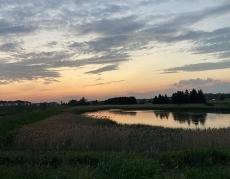 pussycat 357 best star image