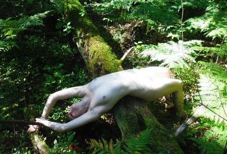 sexyshreksy star archive