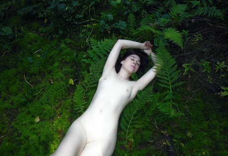 sexyshreksy pornstar img