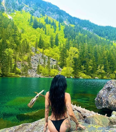 Lights Poxleitner model pictures