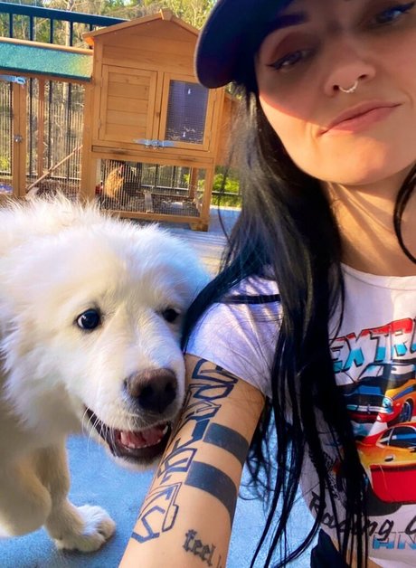 Lights Poxleitner star picture