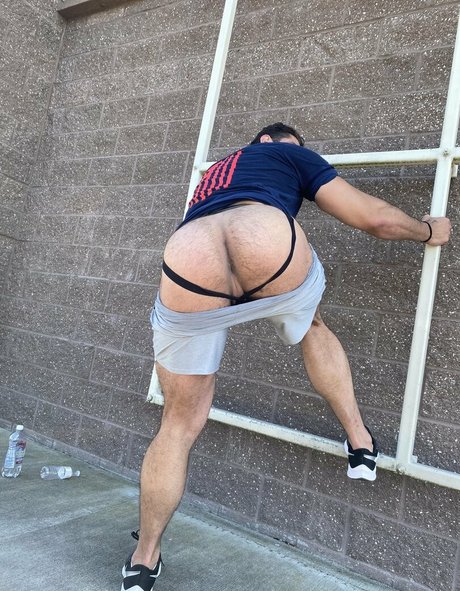 briefsbull star art image