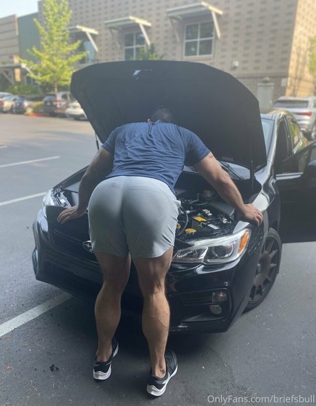 briefsbull art pornstar gallery