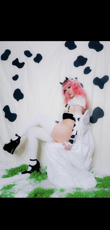 lawlietigerpony high quality star galleries