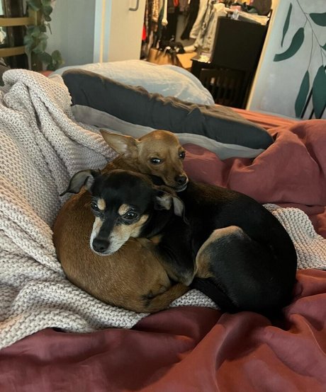 black teacher onlyfans porno img