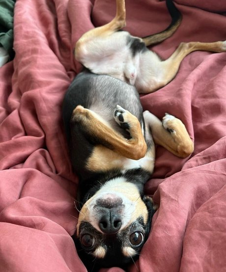 thick girls onlyfans sexy naked galleries