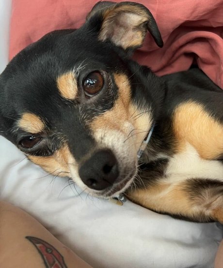 Suki Jade model sexy picture