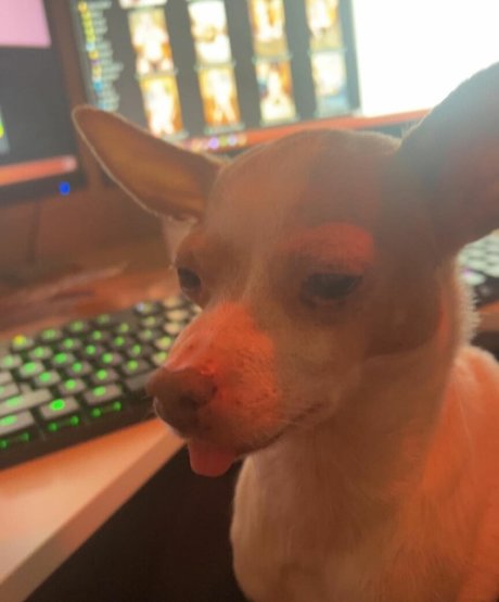 Suki Jade star art img