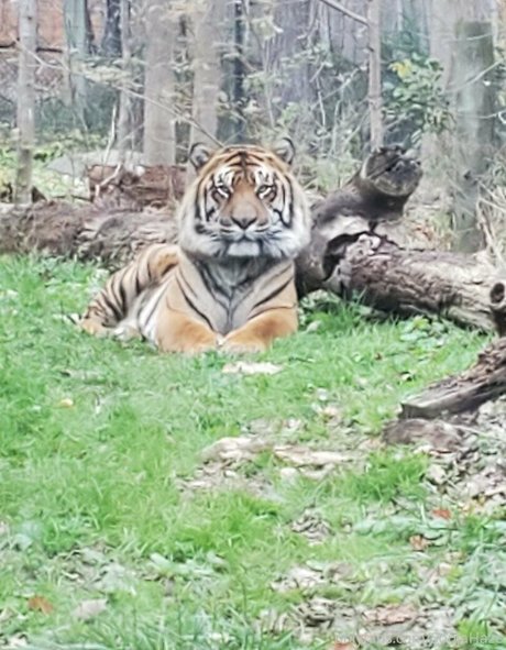 anal gape onlyfans free sexy images