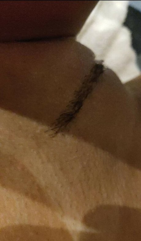 Guerreirinha hd pornstar archive