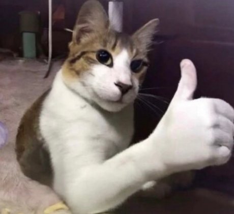 pawg thick onlyfans porn picture