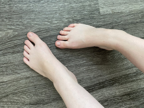 Stellina star free photos